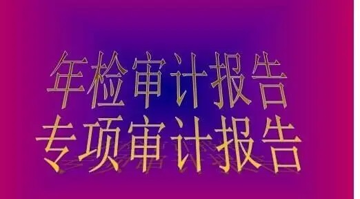 专项审计报告