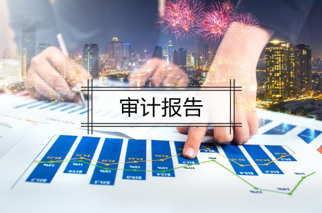 年度审计报告