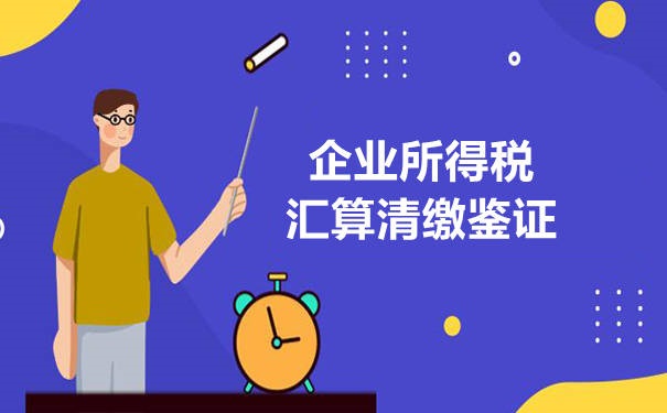 汇算清缴报告