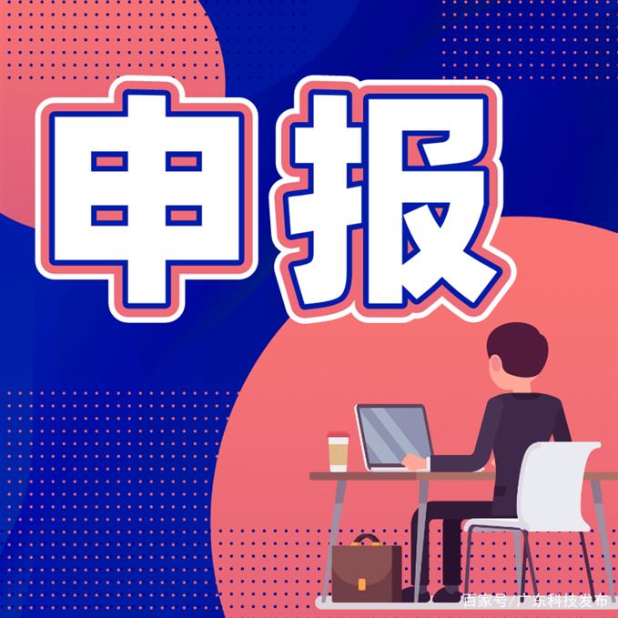 项目申报